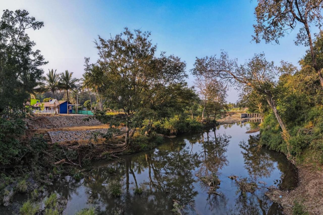 دانديلي Fortune River Resort المظهر الخارجي الصورة