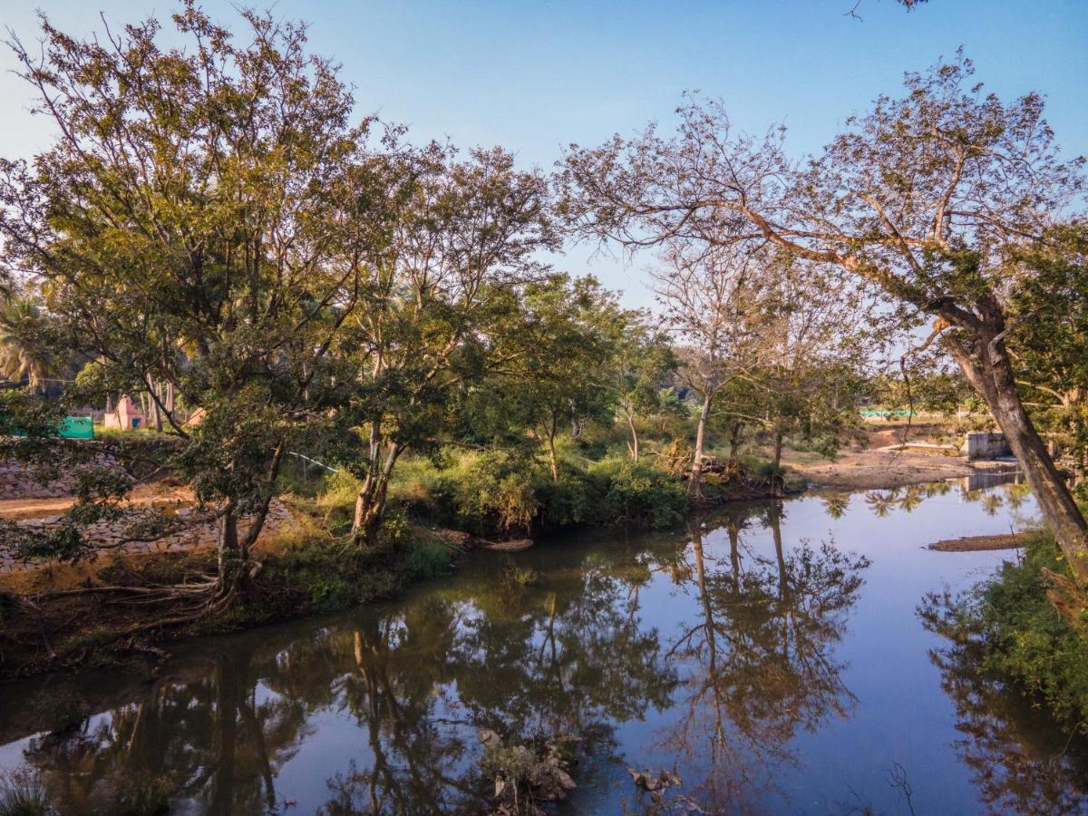 دانديلي Fortune River Resort المظهر الخارجي الصورة